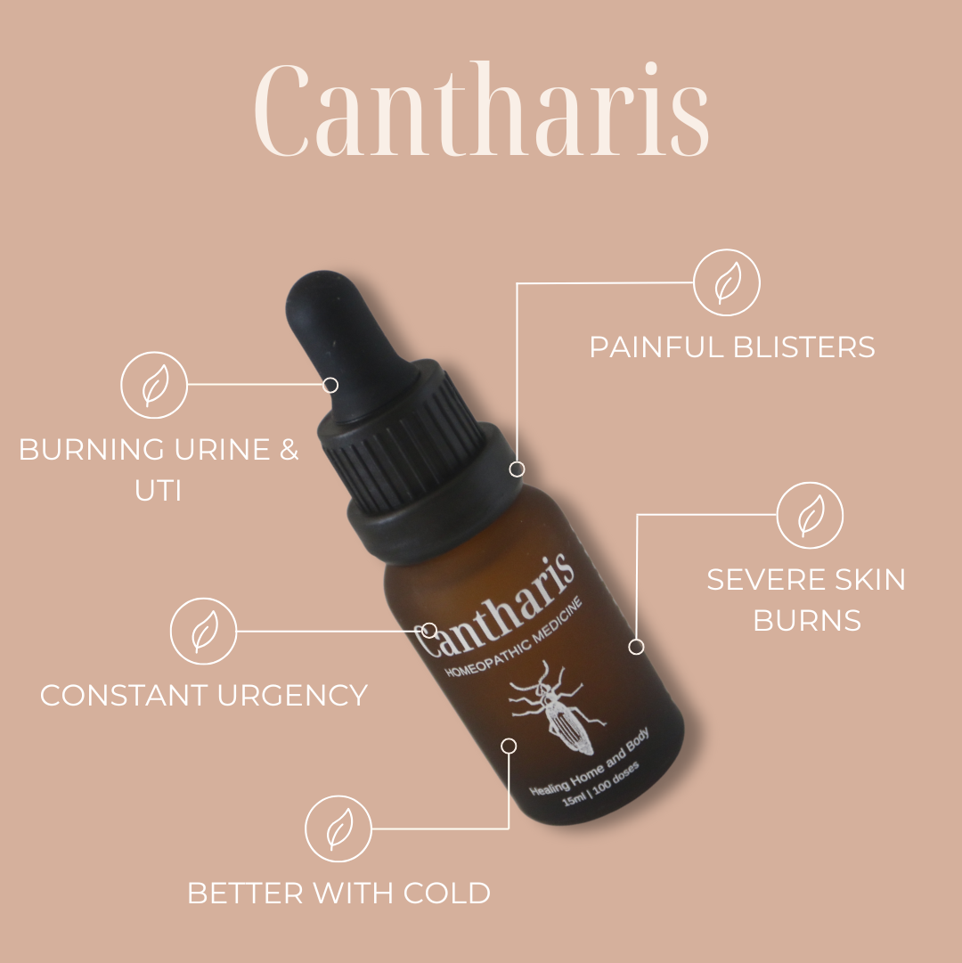 Cantharis Homeopathic Remedy