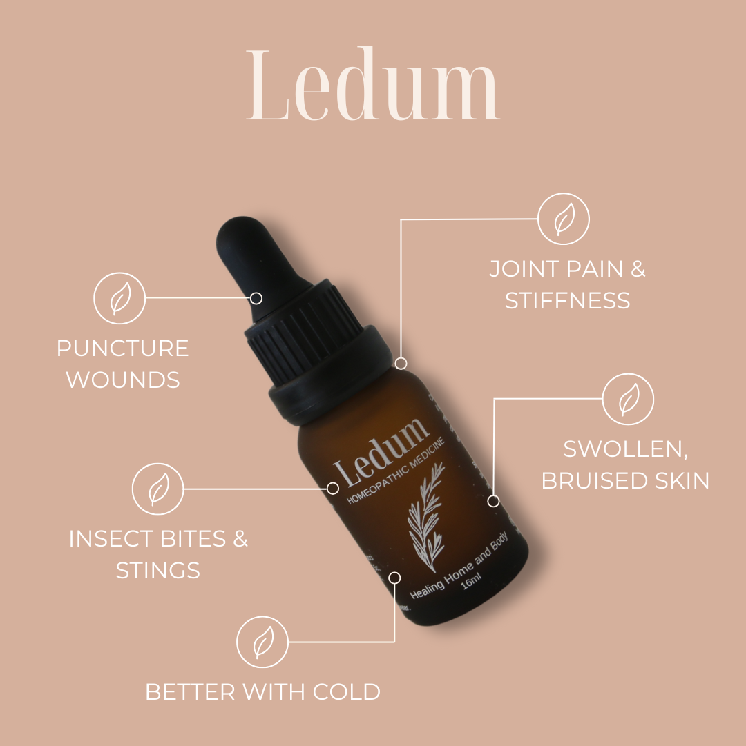 Ledum Homeopathic Remedy