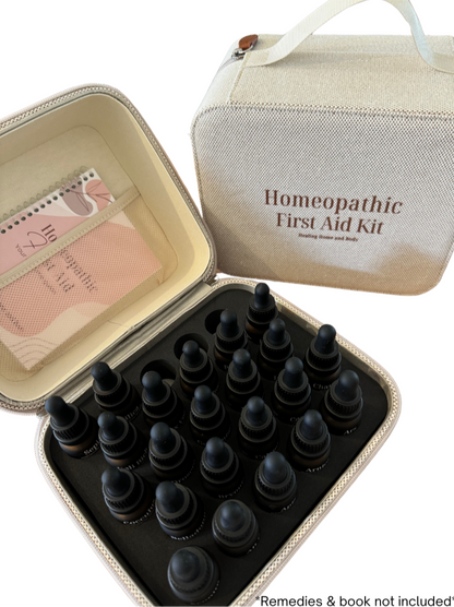 Large Storage Case